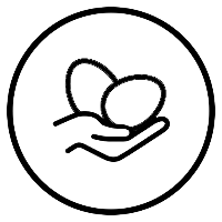 Picto maintien sans compression — sous-vêtement homme Akinom