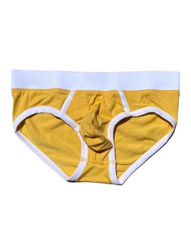 BICOLOR briefs