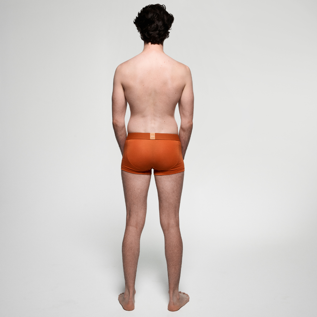 PREMIUM Brick Boxer brief