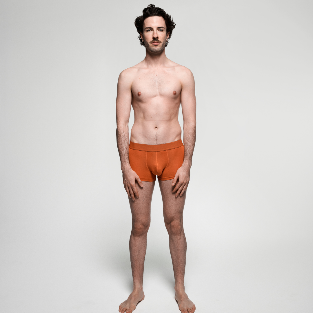 PREMIUM Brick Boxer brief