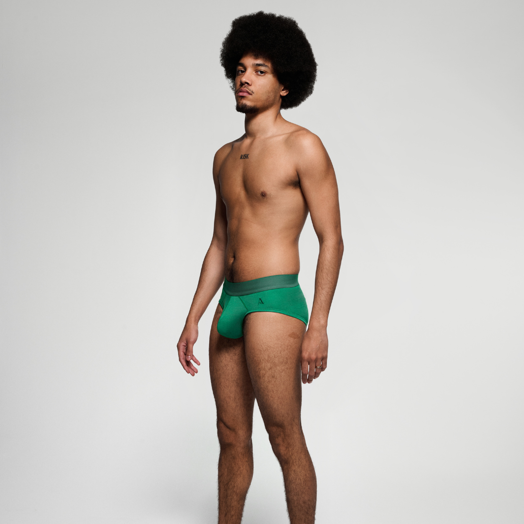 PREMIUM Emerald Brief