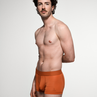 PREMIUM Brick Boxer brief