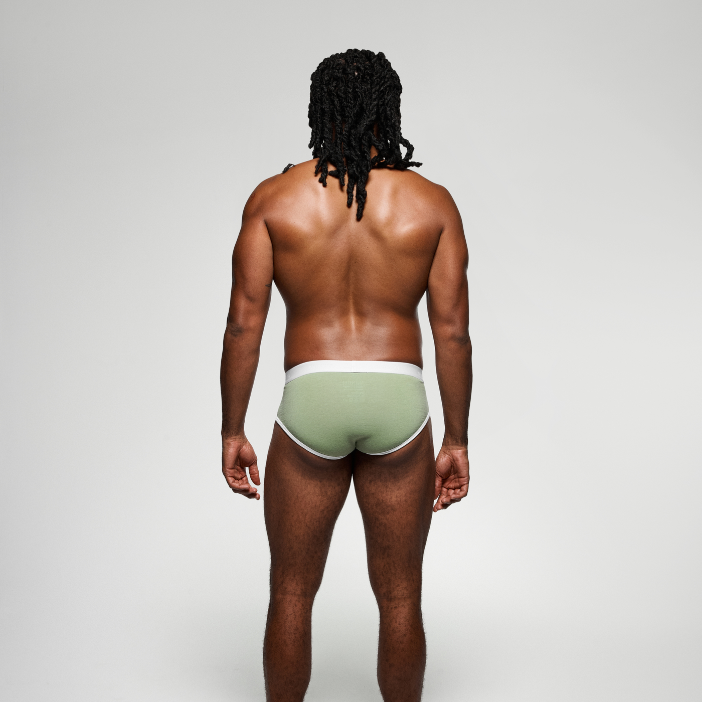 IDOLE Sage Brief