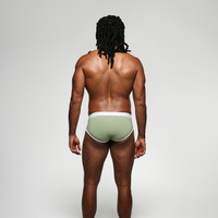 IDOLE Sage Brief