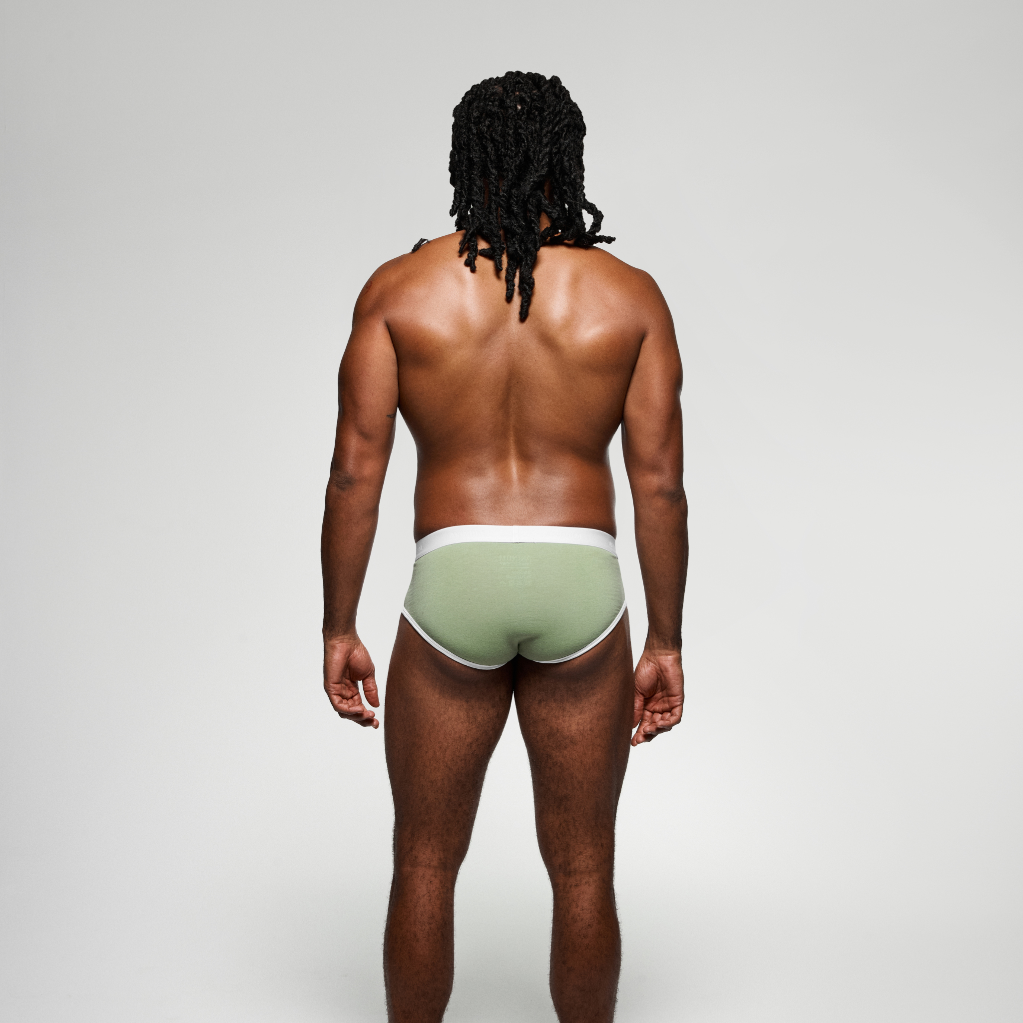 IDOLE Sage Brief