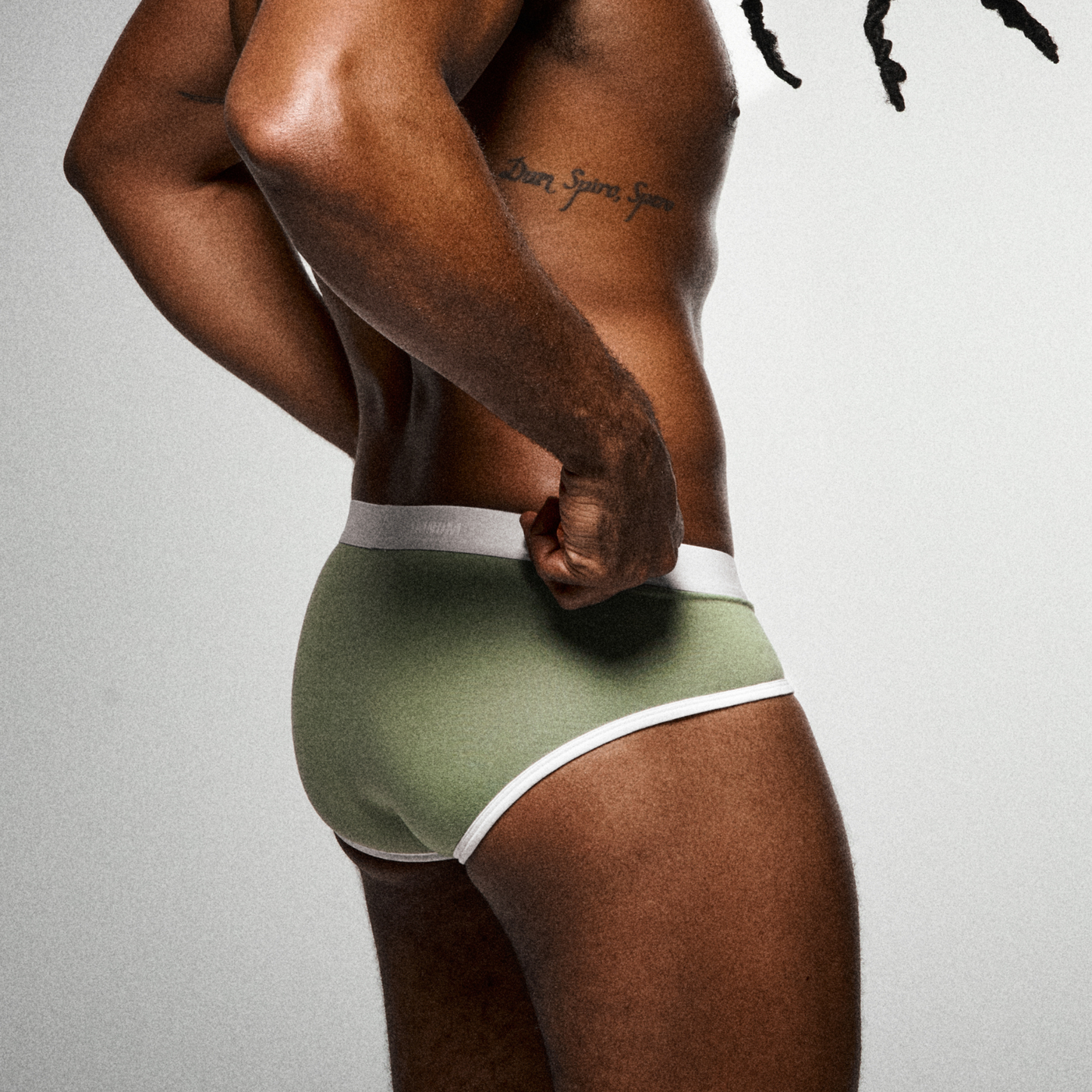 IDOLE Sage Brief