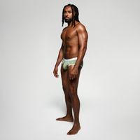 IDOLE Sage Brief