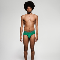 PREMIUM Emerald Brief