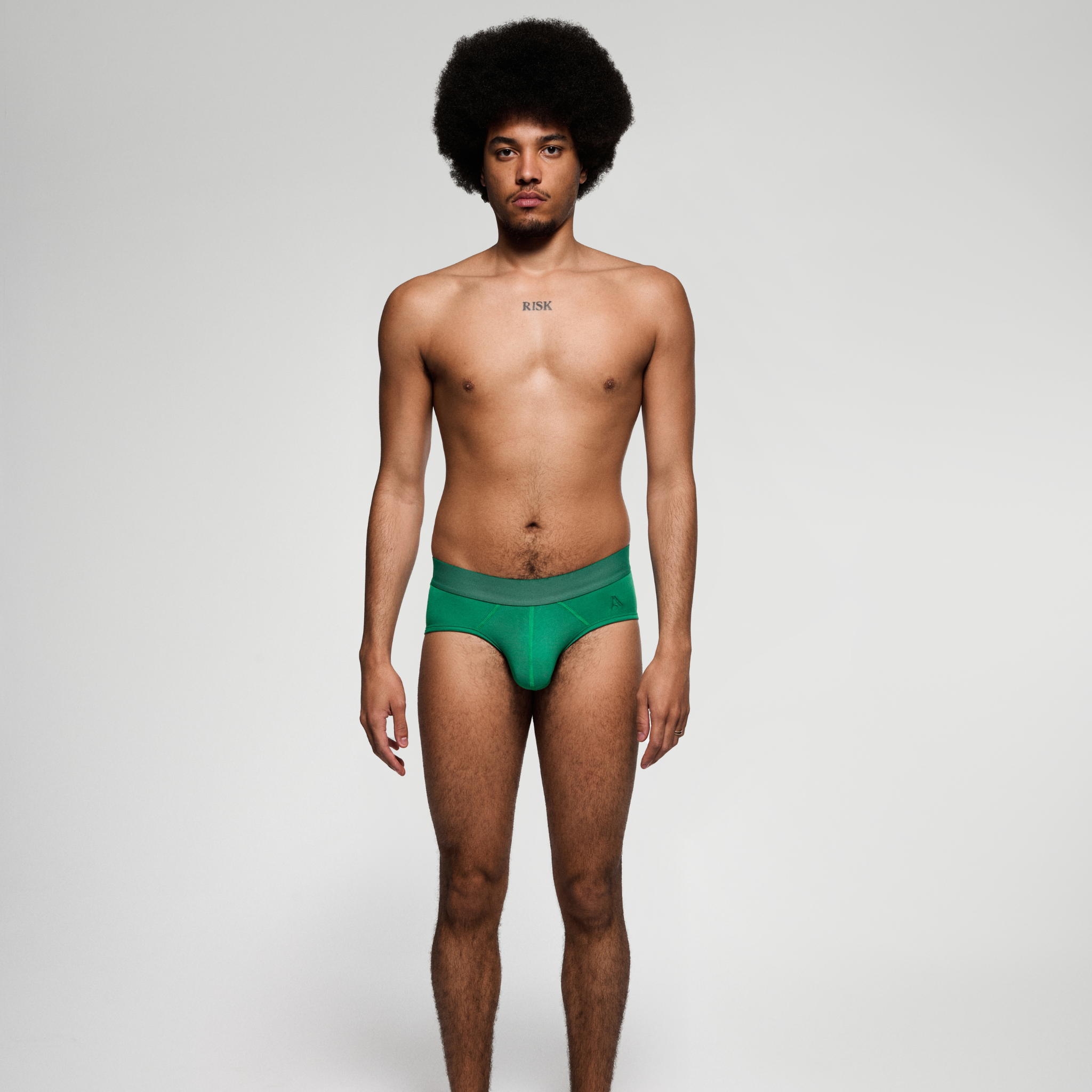 PREMIUM Emerald Brief
